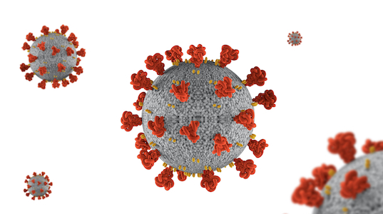 image of covid-19 cells