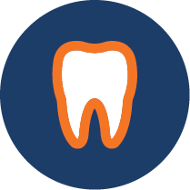Image Depicting a Tooth