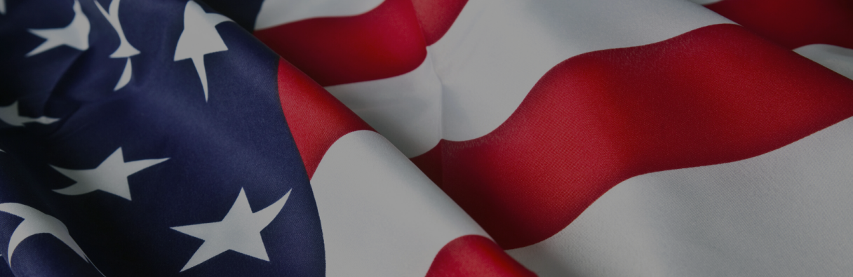 The American Flag Image of The American Flag
