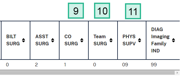 Search Using a Surgical Code